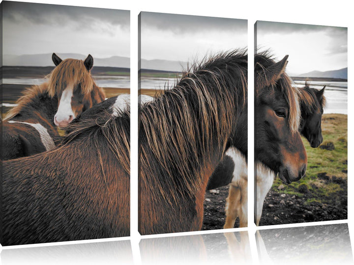 Pixxprint Herde aus schönen Wildpferden / 3-Teilig/Gesamtmass 120cm Leinwandbild bespannt auf Holzra