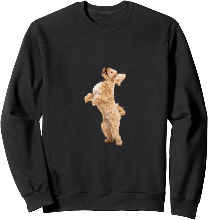 Niedlicher Maltipoo Sweatshirt