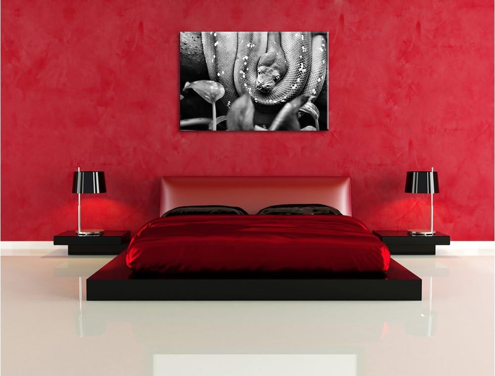 Pixxprint Grüne Schlange, gelbe Augen, 100x70cm Leinwandbild bespannt auf Holzrahmen/Wandbild Kunstd