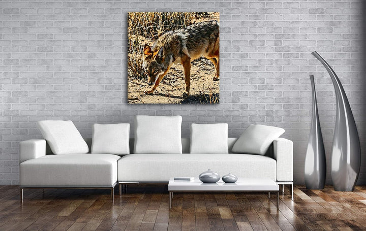 deyoli Fixierter Wolf in Wüstenlandschaft Format: 70x70 Effekt: Zeichnung als Leinwandbild, Motiv au