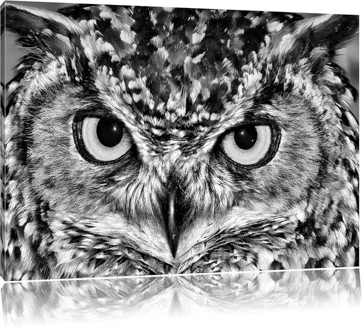 Pixxprint Eule mit gelben Augen als Leinwandbild/Grösse: 100x70 cm/Wandbild/Kunstdruck/fertig bespan