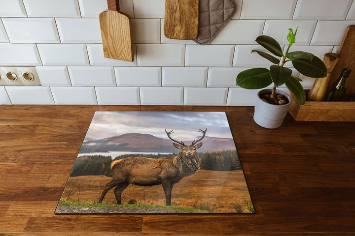 Hirsch in atemberaubender Landschaft Herdabdeckplatte & Spritzschutz aus Echtglas | Für Herd-Kochfel