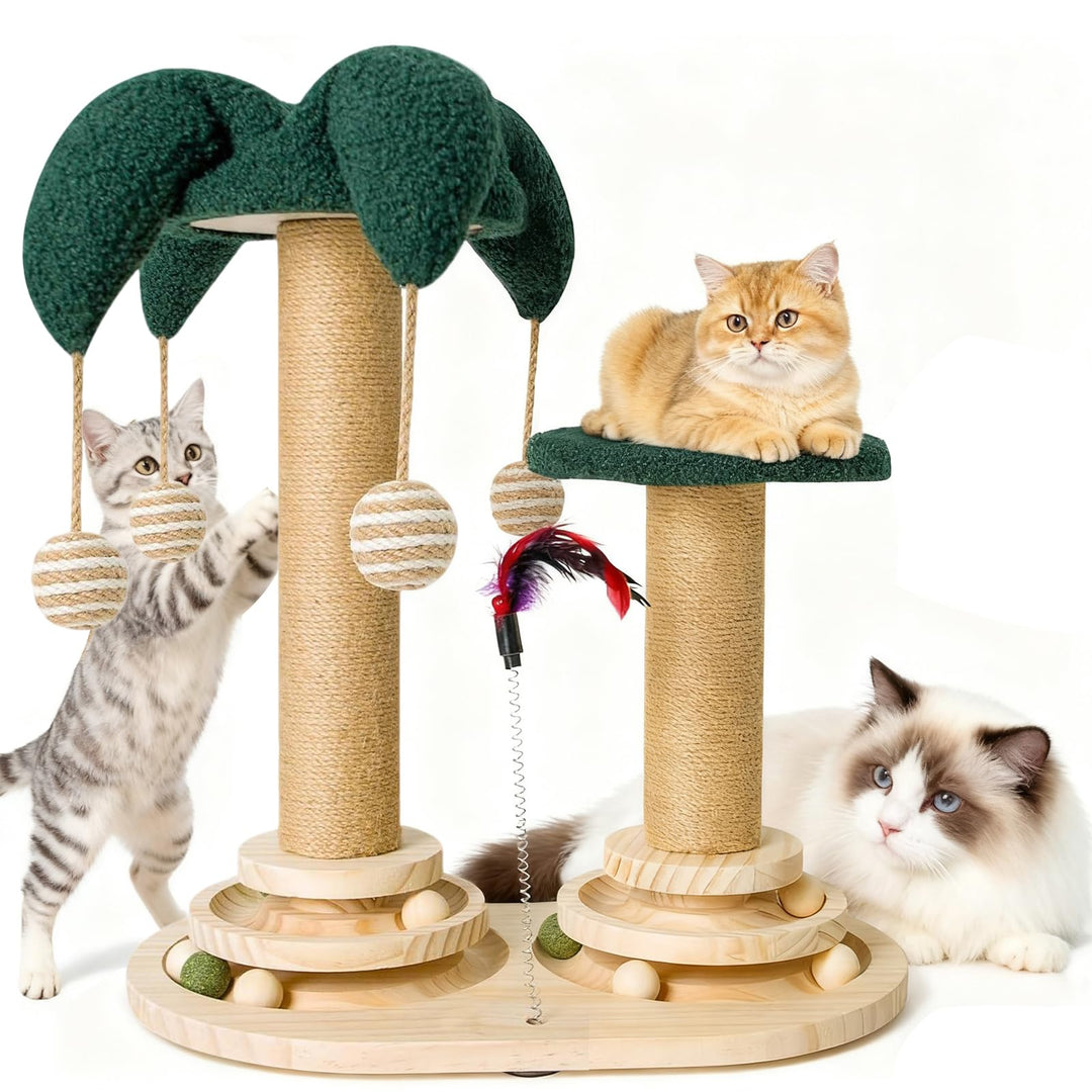 6-in-1 Katzenspielzeug Selbstbeschäftigung Holz, Kratzspielzeug für Katzen, Spielzeug mit Katzenminz