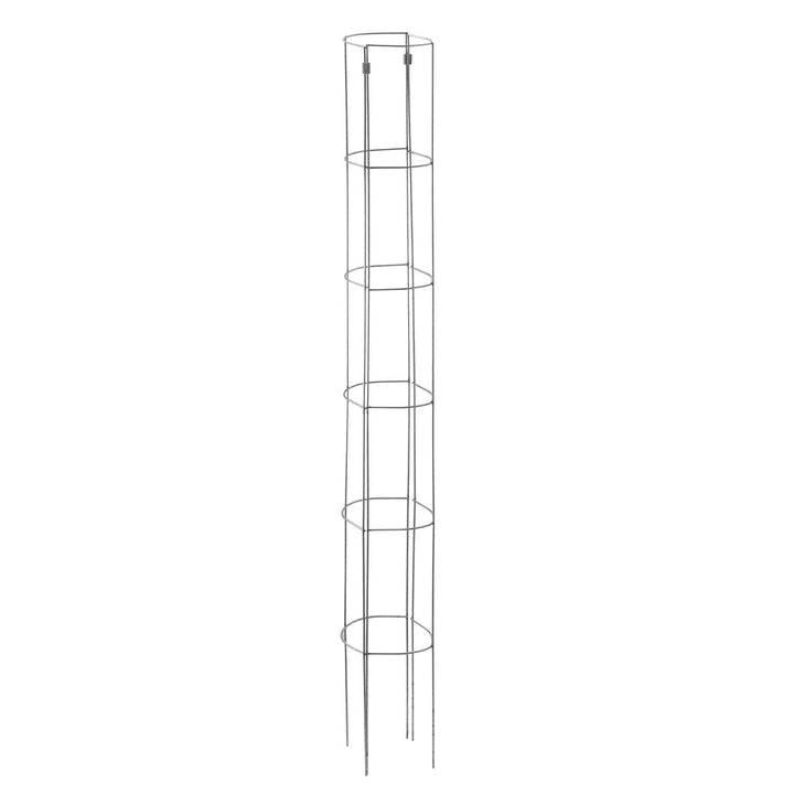 bellissa – Tomaten Rankhilfe aus Stahl 180cm 3er Set verzinkt – Tomatenturm Rankgitter für Tomaten,