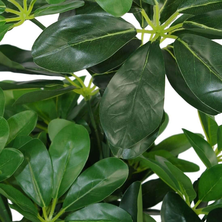 Künstlicher Schefflera Arboricola Regenschirm, 55 cm, Schwarz, 55 cm Langer Lichtstrumpf, 55cm Light