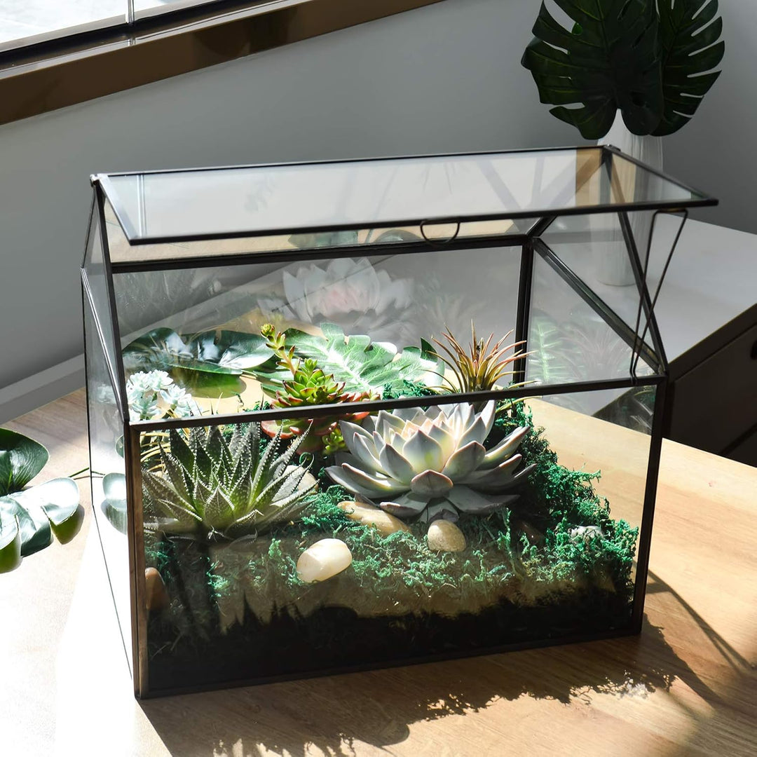 Grosses Glas Pflanze Terrarium - Haus Sukkulenten Glas Terrarium Kit mit Lippe Glas Gewächshaus Terr