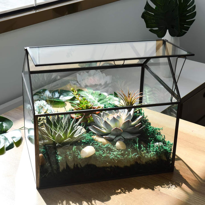 Grosses Glas Pflanze Terrarium - Haus Sukkulenten Glas Terrarium Kit mit Lippe Glas Gewächshaus Terr