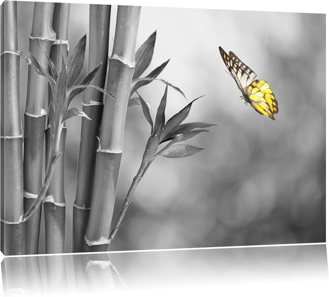 schöner Schmetterling vor Bambus schwarz/weiss Format: 100x70 auf Leinwand, XXL riesige Bilder ferti