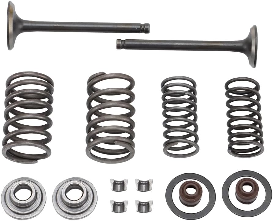 WOOSTAR Zylinderkopf 66mm Ventilbaugruppe Ersatz für 70ccm 90ccm 110ccm Taotao Roketa Sunl Chinesisc