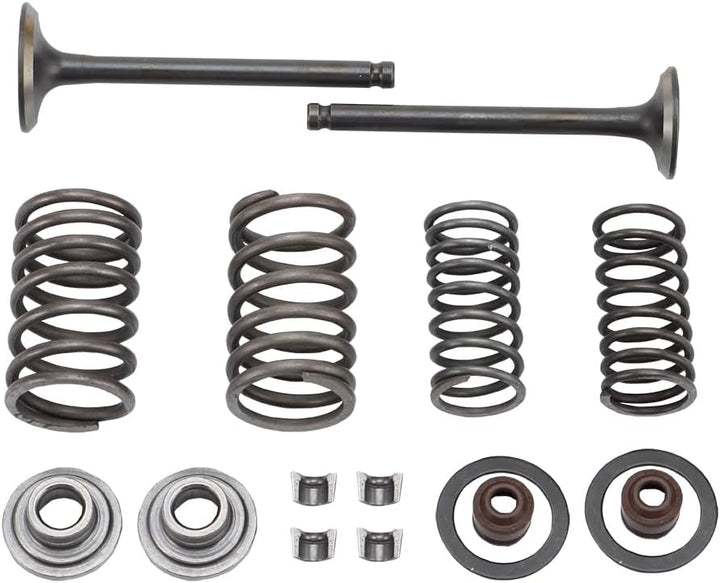 WOOSTAR Zylinderkopf 66mm Ventilbaugruppe Ersatz für 70ccm 90ccm 110ccm Taotao Roketa Sunl Chinesisc