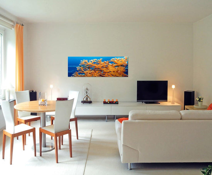 Paul Sinus Art Panoramabild auf Leinwand und Keilrahmen 150x50cm Meer Unterwasser Feuerkoralle