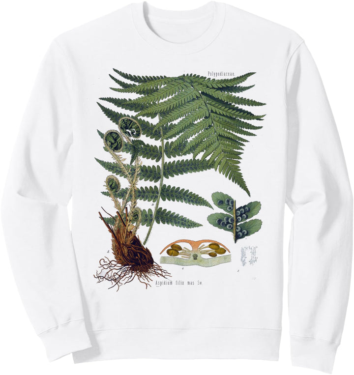 Farn Botanische Pflanzen Botanik Sweatshirt