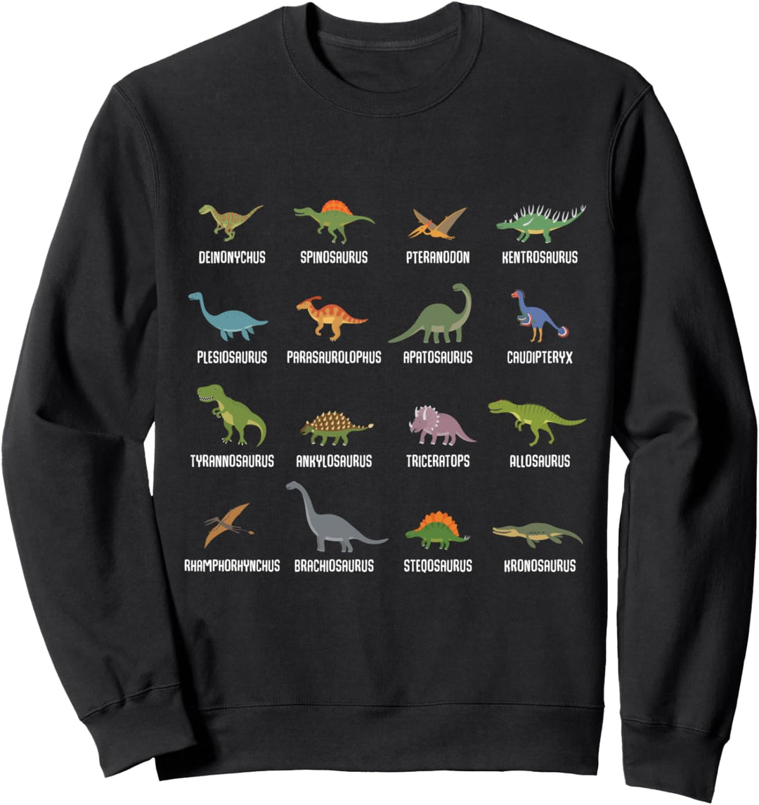 Dino Dinosaurier Arten Sammlung Pädagogische Kunst Sweatshirt