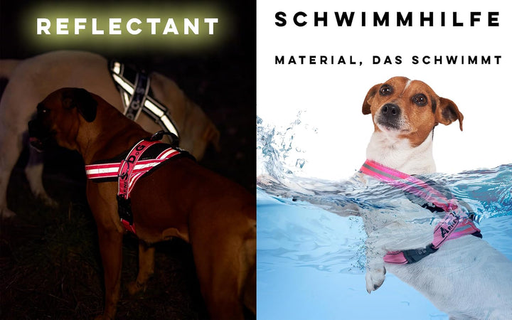 Hundegeschirr mit 3 Metallösen zur Befestigung Ihrer Brust oder Ihres Brustgurts, um Ihren Hals Nich