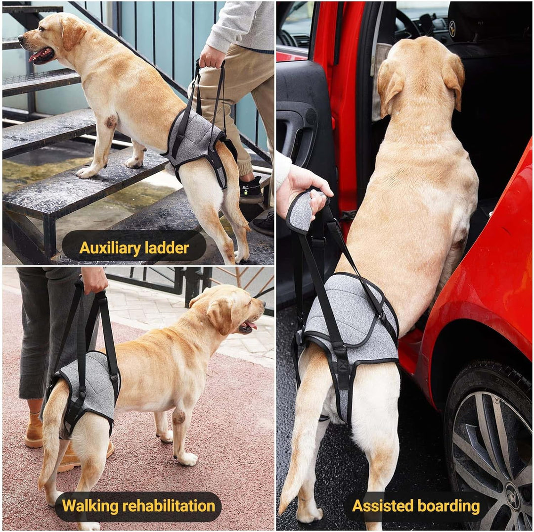 Tragehilfe Hund Gross, Tragehilfe Hund Hinterbein s, Dog Back Leg Support, Dog Carrying Aid, Verstel