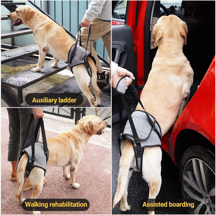 Tragehilfe Hund Gross, Tragehilfe Hund Hinterbein s, Dog Back Leg Support, Dog Carrying Aid, Verstel
