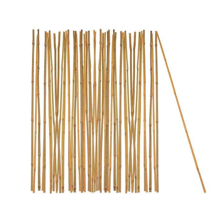 BigDean 50x Pflanzstab Bambusstab 105 cm x 8-10 mm Bambus Rankhilfe Pflanzstab Tonkinstab 100% Natur