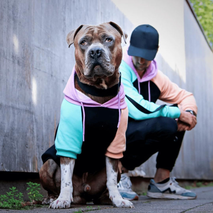 Spark Paws Hunde Hoodie Sweatshirt Pullover - Premium Qualität, weich, Komfortabel und passend für g