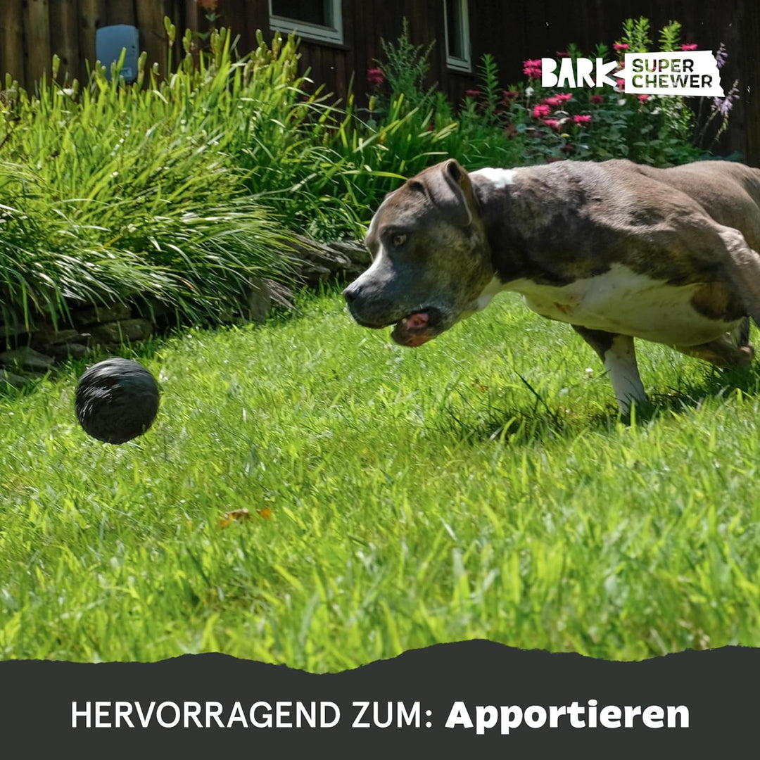 Barkbox Super Chewer Robustes Kauspielzeug für Hunde mit aggressivem Kauverhalten, Leckerli-Spender