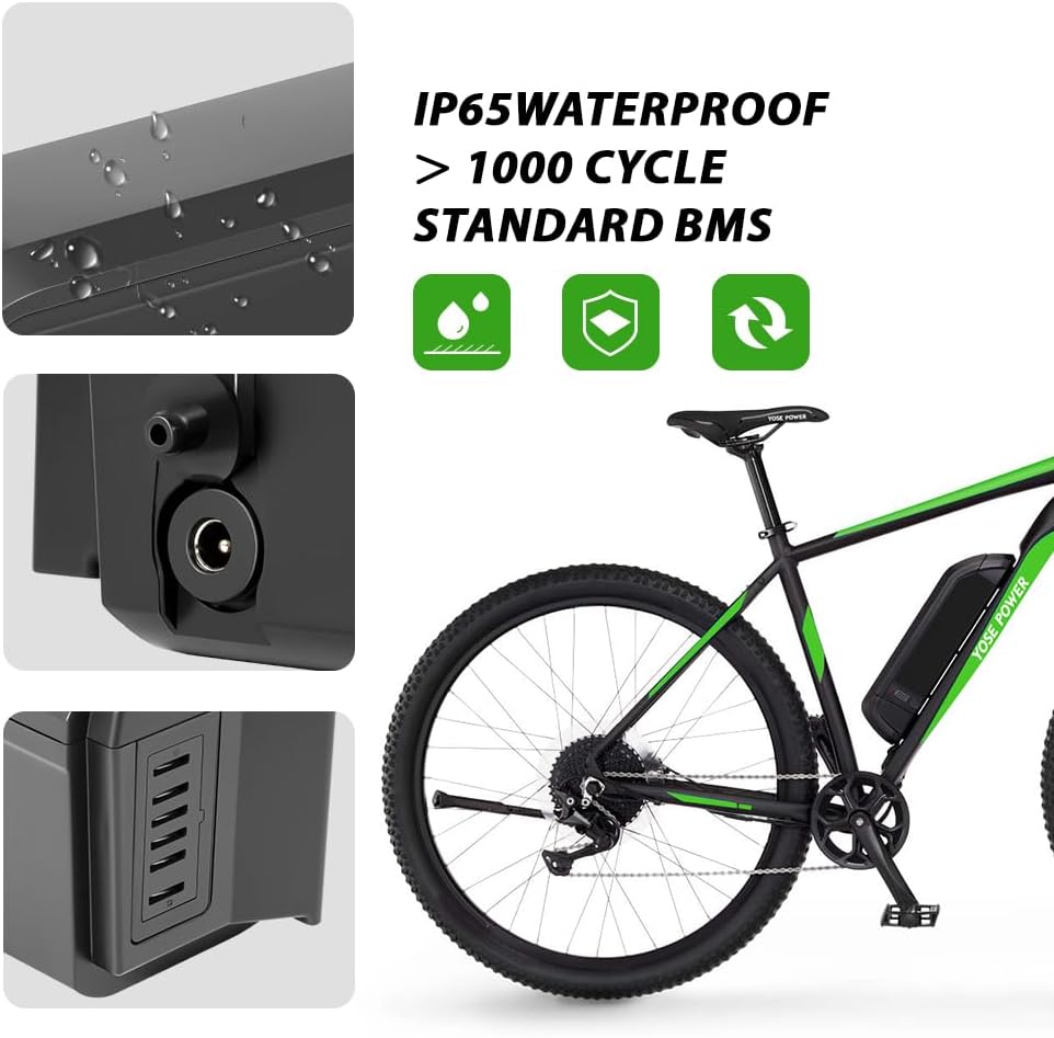 E-Bike 48V 11,6Ah Li-ion Batterie mit Ladegerät Phylion Akku SF-06S JCEB480-11.6 für 250W-800W E-Bik