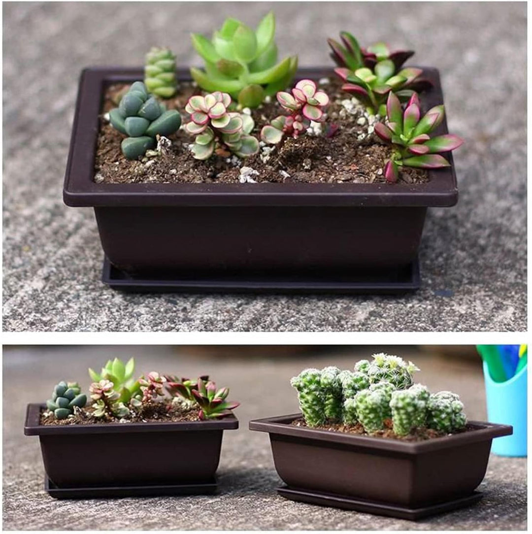 6 Stück Bonsai-Trainingstöpfe mit Tablett Rechteck Blumentopf Bonsai Schale Sukkulenten Klein Pflanz