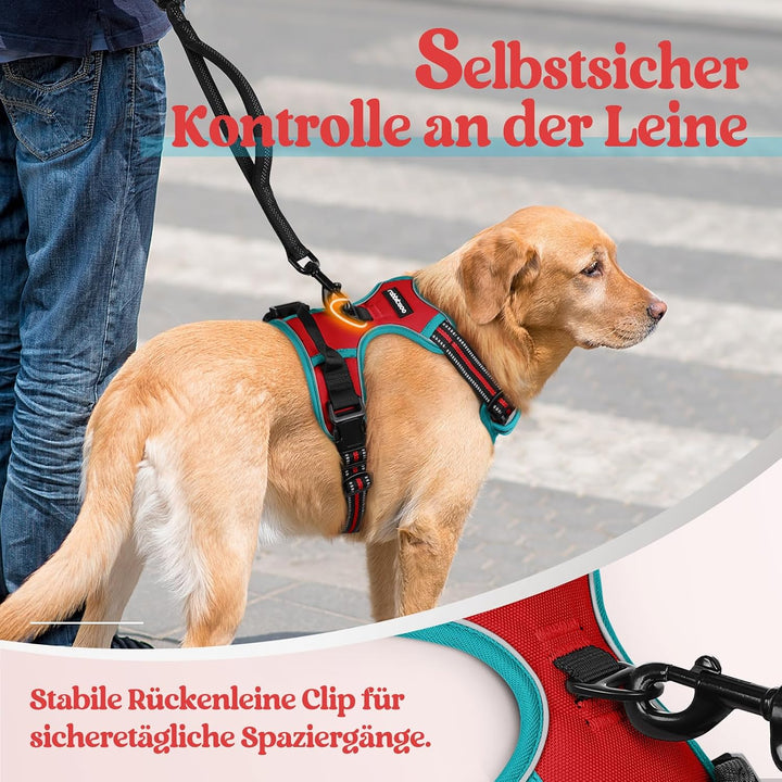 rabbitgoo Hundegeschirr Mittelgrosse Hunde, Anti Zug Geschirr mit Kontrolle, No Pull Verstellbar Hun