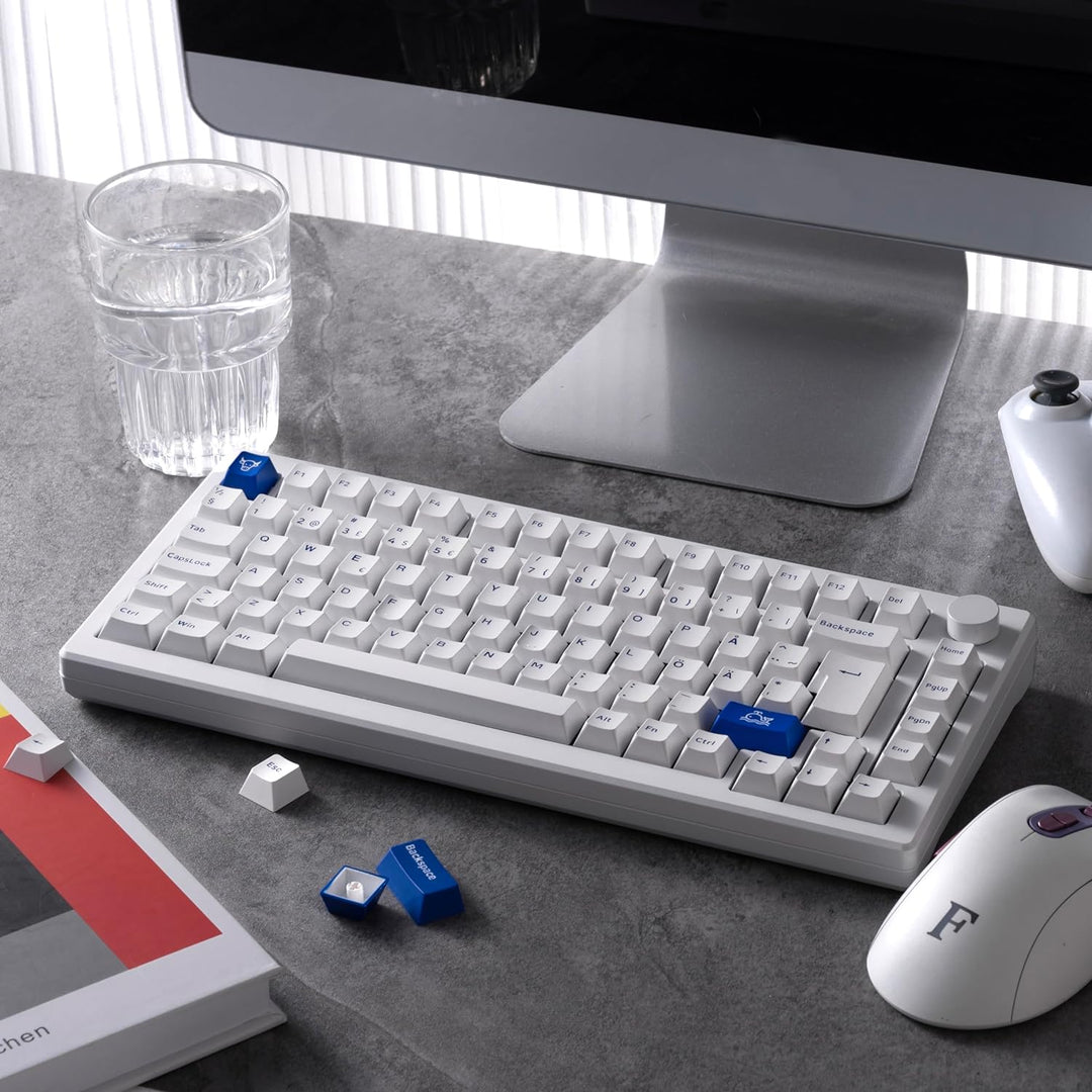 Akko MOD007 PC Gasket Mechanische Tastatur, ISO DE/Nordic Layout, 75% Gaming Keyboard mit Superelast