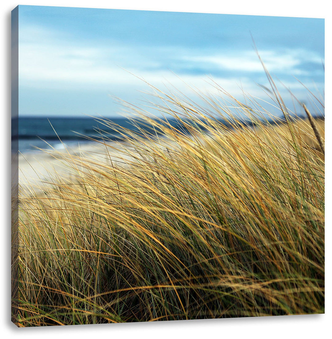 Schilf Gras am Ufer, Format: 70x70 auf Leinwand, XXL riesige Bilder fertig gerahmt mit Keilrahmen, K