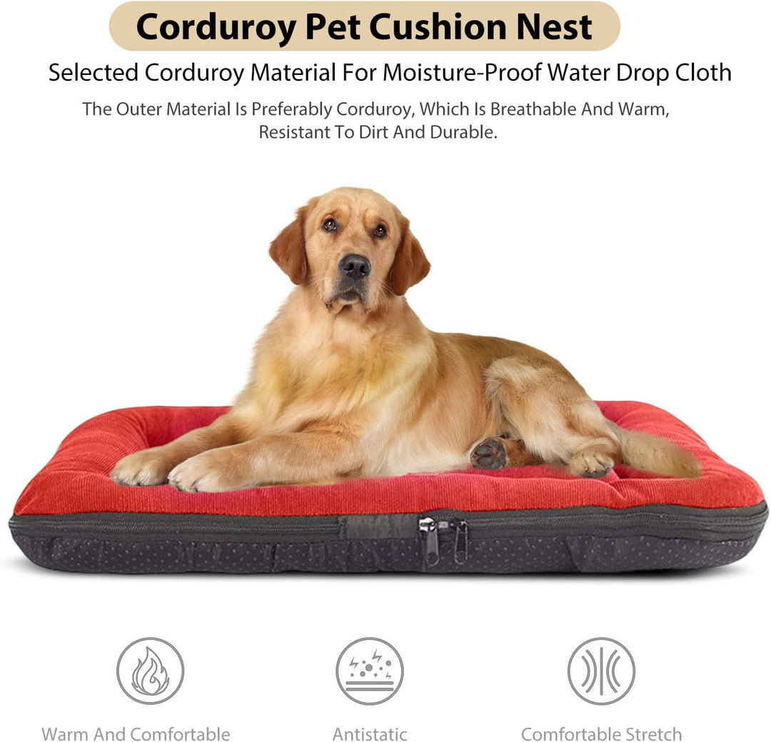 PETCUTE Hundebett Mittelgrosse Hunde,Waschbar Hundekissen mit Abnehmbar Bezug,Super Weiches Hundesof