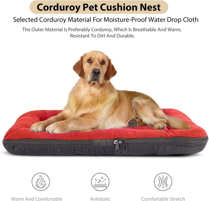 PETCUTE Hundebett Mittelgrosse Hunde,Waschbar Hundekissen mit Abnehmbar Bezug,Super Weiches Hundesof