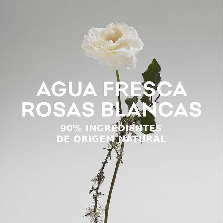 Agua Fresca De Rosas Blancas Et 120 Vp