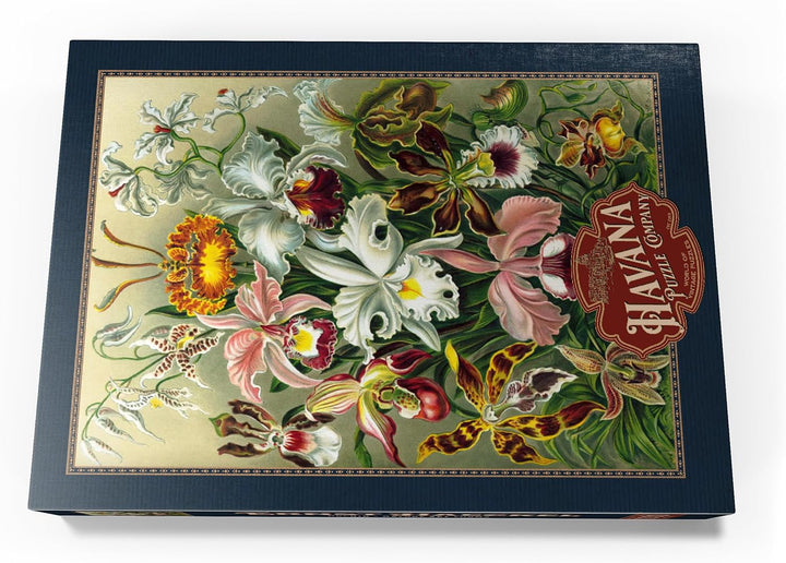 Orchidee - Kunstformen der Natur, Vintage Art Poster, Ernst Haeckel - Premium 1000 Teile Puzzle - My