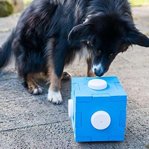 Procyon Dog Agility Schnüffel-Cube