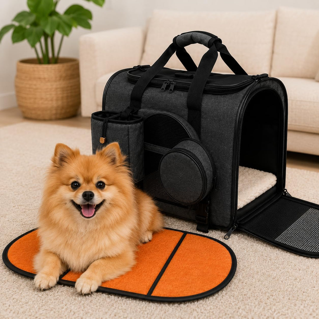 Hundetransportbox faltbar 47x27x28 cm für kleine Hunde &amp; Katzen bis 7 kg (schwarz), schwarz