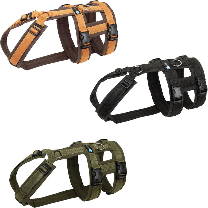 Annyx Brustgeschirr Safety Fun - Schwarz - XS Schwarz-Schwarz XS, Schwarz-Schwarz XS