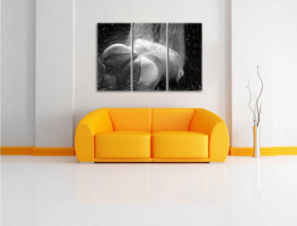 Pixxprint Frau im Bikini unter Einer Dusche als Leinwandbild/Grösse: 3 Teilig (120x80) cm/Wandbild/K