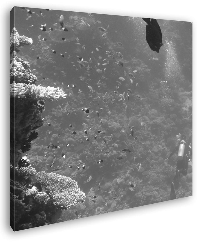 deyoli Fische an einem atemberaubenden Korallenriff Format: 70x70 Effekt: Schwarz&Weiss als Leinwand