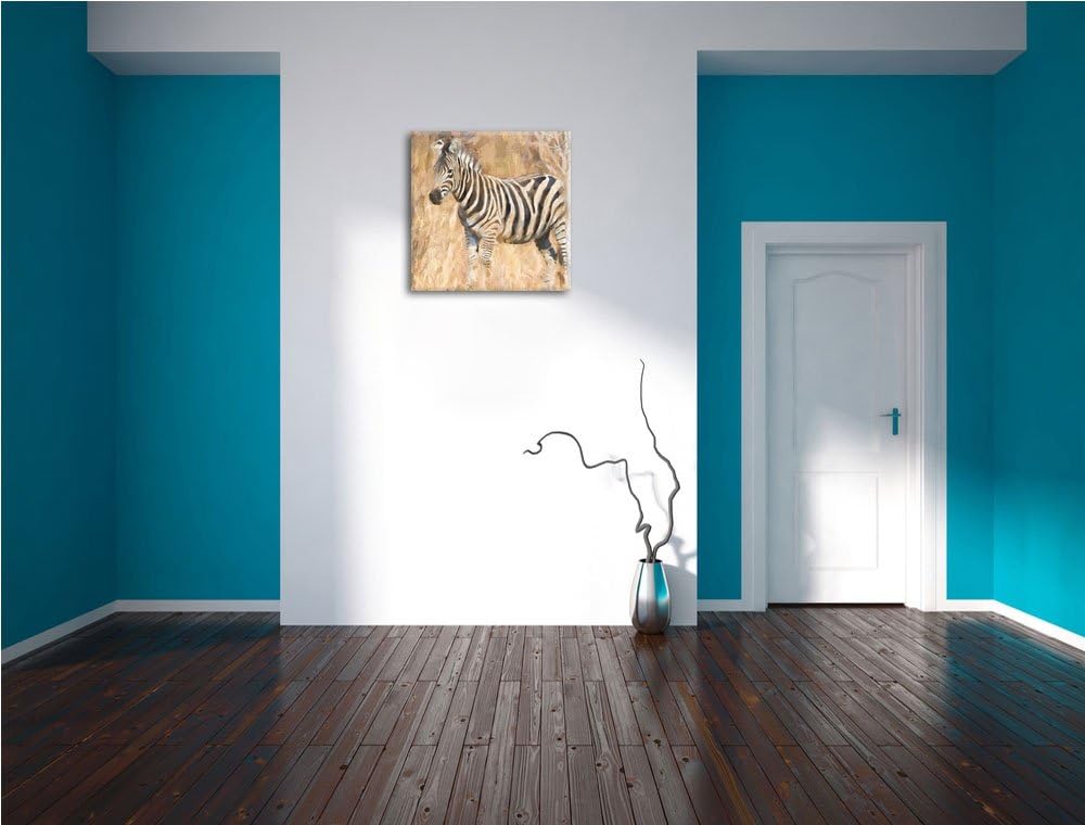 Anmutiges Zebra in Savanne, Format: 70x70 auf Leinwand, XXL riesige Bilder fertig gerahmt mit Keilra