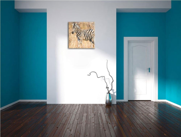 Anmutiges Zebra in Savanne, Format: 70x70 auf Leinwand, XXL riesige Bilder fertig gerahmt mit Keilra
