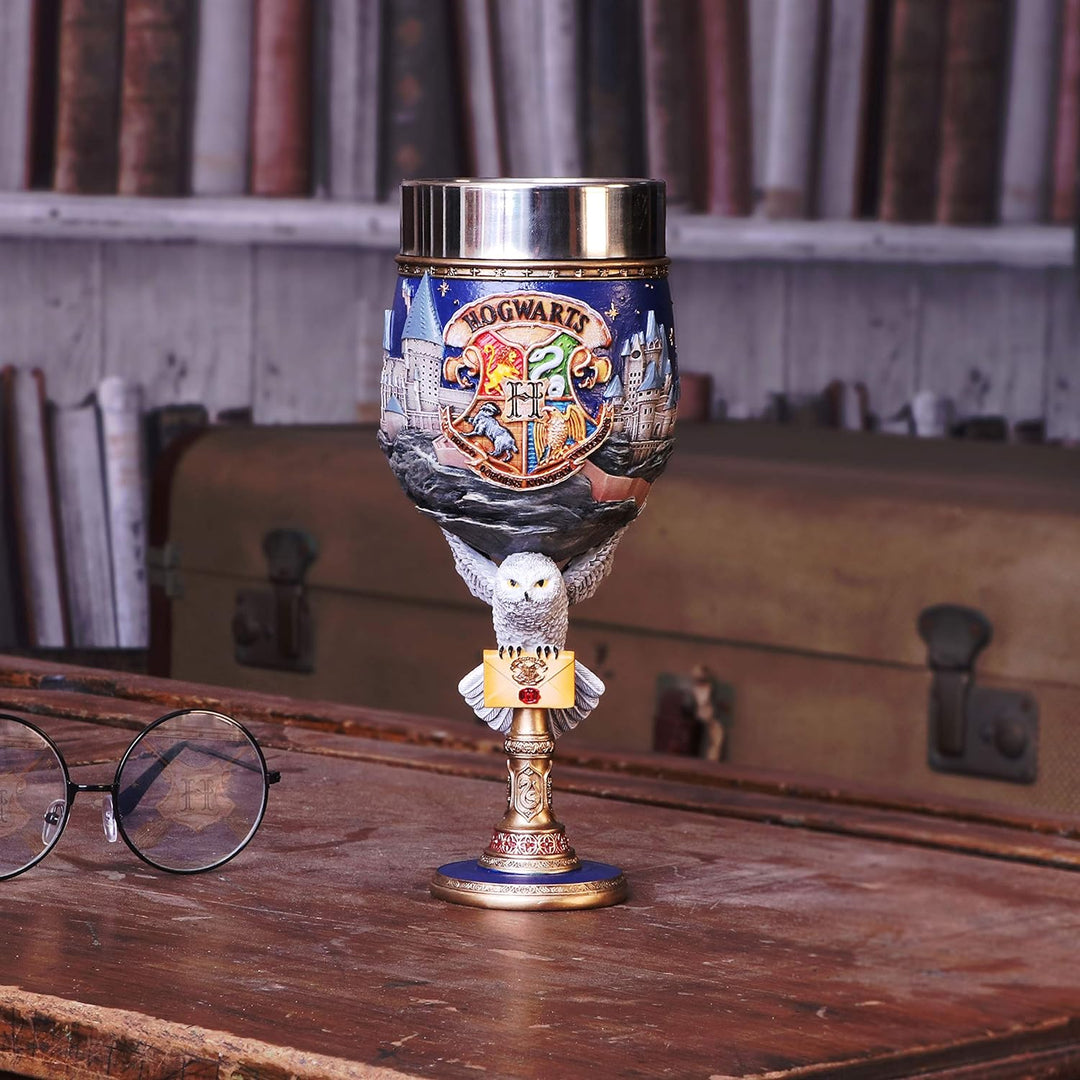 Nemesis Now Collectable Goblet Harry Potter Hogwarts School of Witchcraft and Wizardry Kelch zum Sam