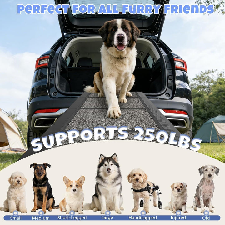 Hunderampe Klappbare Auto 63" × 17", 160cm, Faltbare Haustierrampe für Grosse Hunde mit Rutschfestem