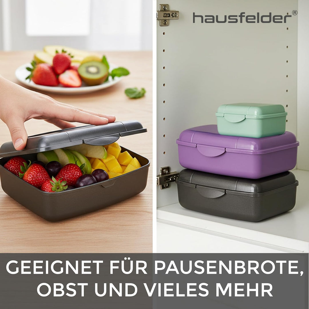 Hausfelder Brotdose Set Erwachsene – 4er Lunchbox Set anthrazit mit 2 grossen (18x14x6,5cm) &amp; 2 klei