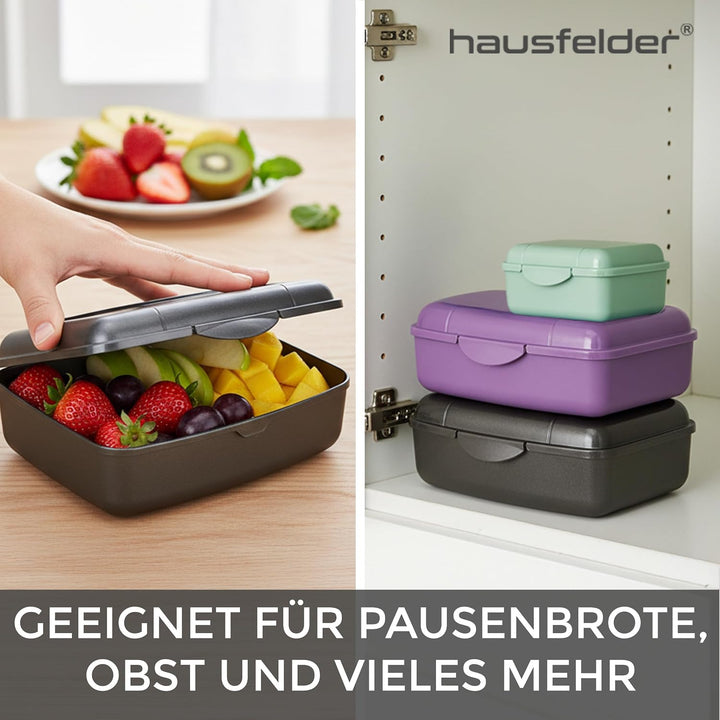 Hausfelder Brotdose Set Erwachsene – 4er Lunchbox Set anthrazit mit 2 grossen (18x14x6,5cm) &amp; 2 klei