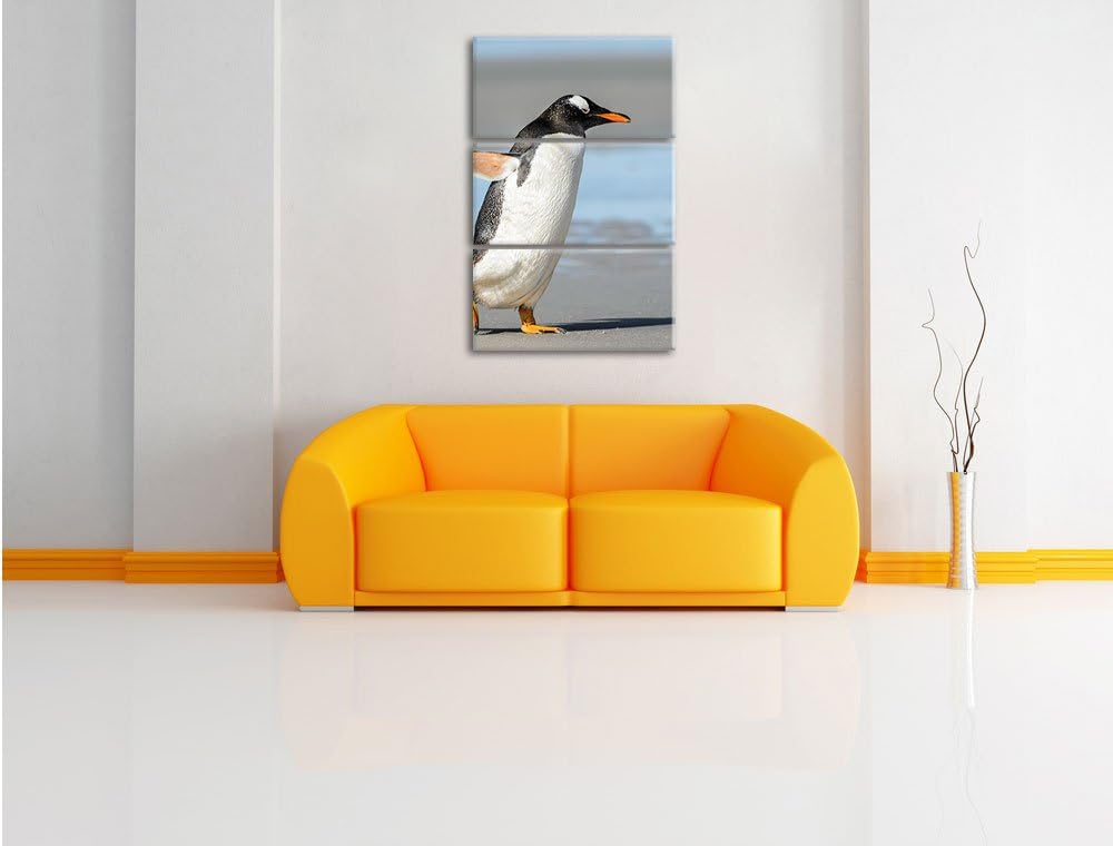 Pinguin am Strand 3-Teiler Leinwandbild 120x80 Bild auf Leinwand