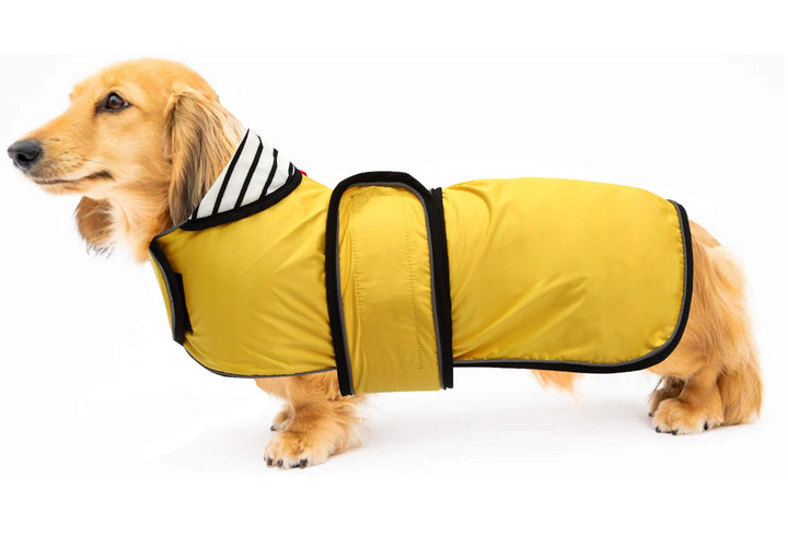 Geyecete Hunde Regenmantel,Einstellbar Wasserdicht Hundejacke für Dackel,Regenmantel mit reflektiere