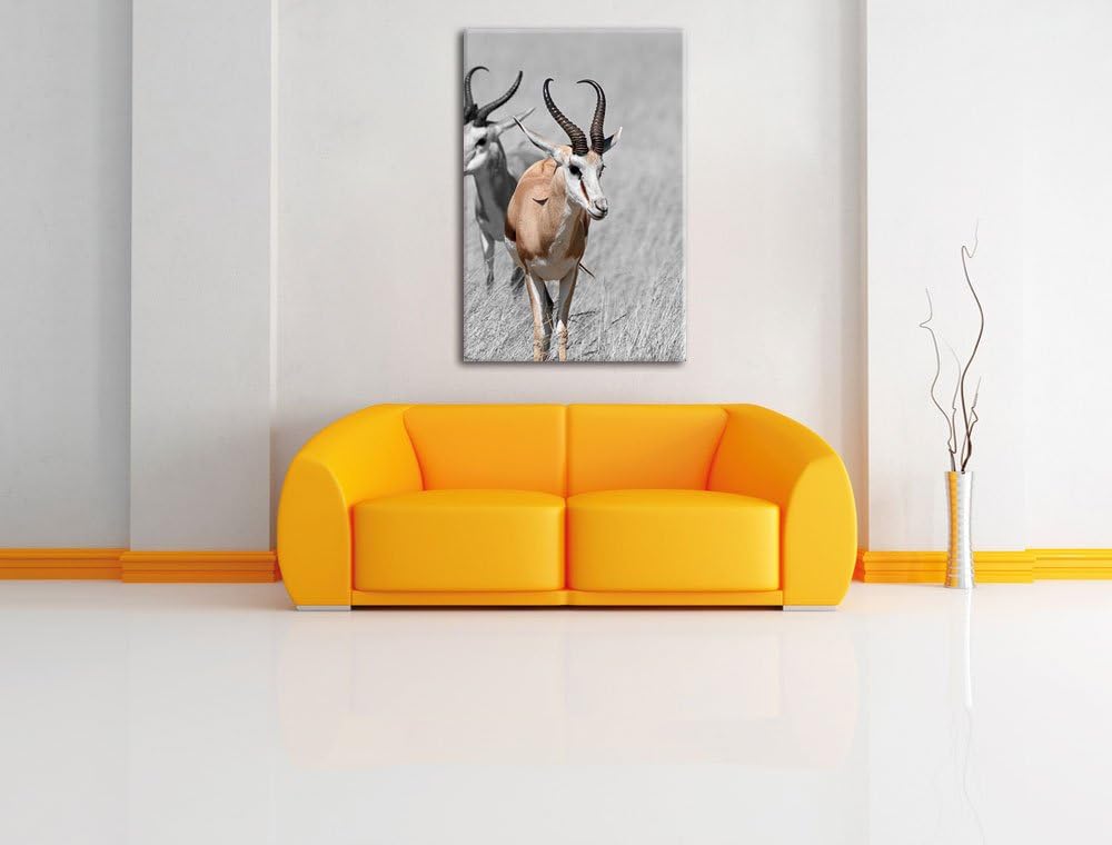 Pixxprint Tiere in Savanne, Rehe, Afrika als Leinwandbild/Grösse: 120x80 / Wandbild/Kunstdruck/ferti