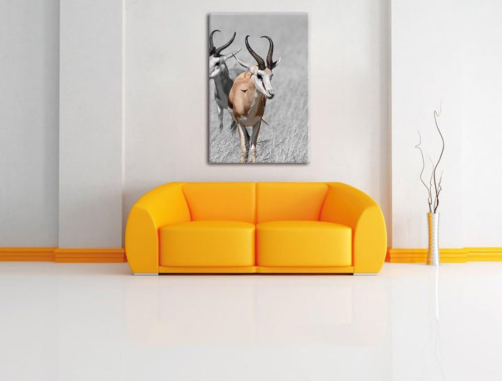 Pixxprint Tiere in Savanne, Rehe, Afrika als Leinwandbild/Grösse: 120x80 / Wandbild/Kunstdruck/ferti