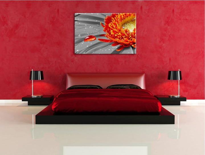 Wassertropfen auf Gerbera schwarz/weiss Format: 100x70 auf Leinwand, XXL riesige Bilder fertig gerah