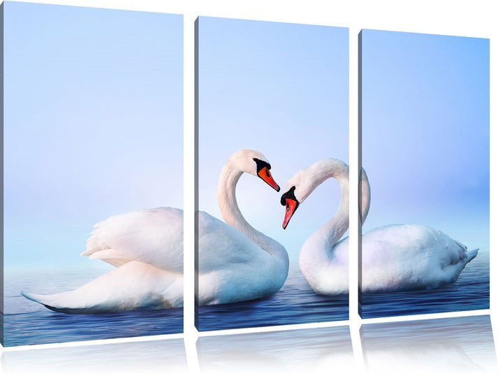 Pixxprint Zwei Schwäne auf dem Wasser als Leinwandbild/Grösse: 3 Teilig (120x80) / Wandbild/Kunstdru