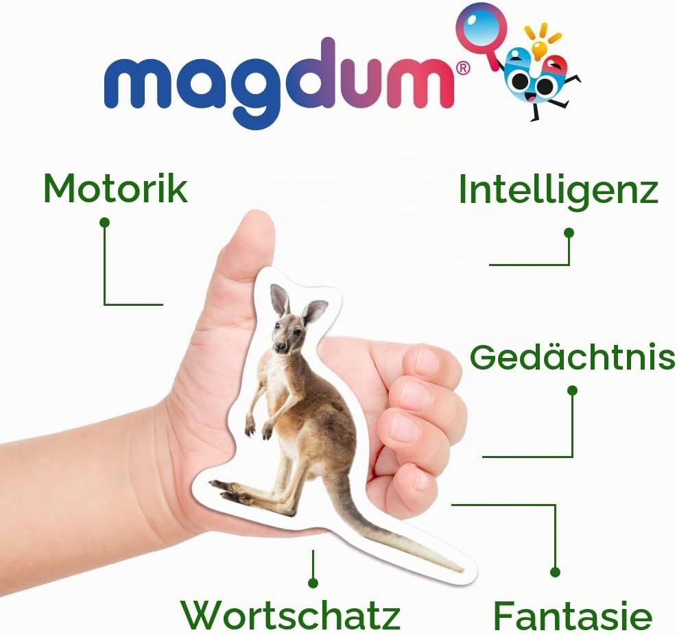 magdum 85 Kinder Magnete Zoo + BAUERNHOFTIERE + Obst + GEMÜSE Foto Magnete Kinder für magnettafel -